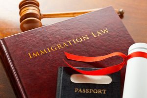 Why an Immigration Consultation Matters