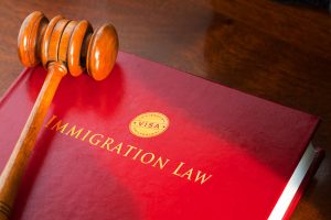 Questions You Should Ask Your Family Immigration Lawyer
