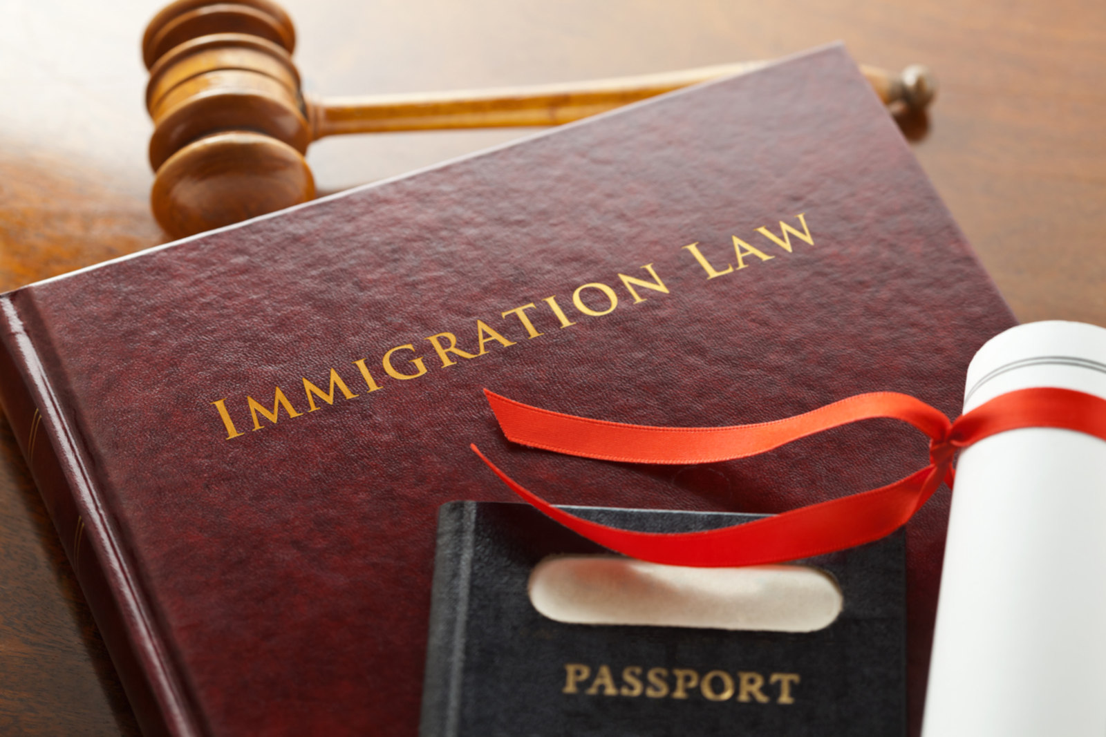 Proactive Immigration Cases